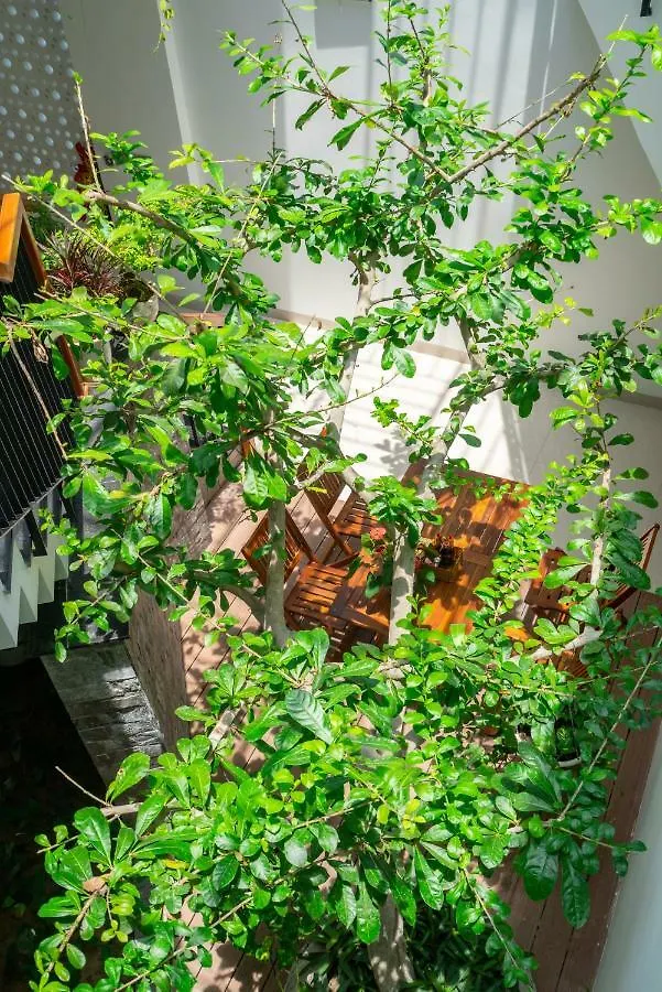 Cosiha Homestay Хойан